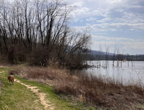 3 Lake Loop Hikes: 3 Miles Long or Less!