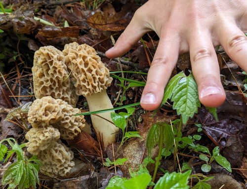 SNEAK PEEK: The Get Outside Guide | May